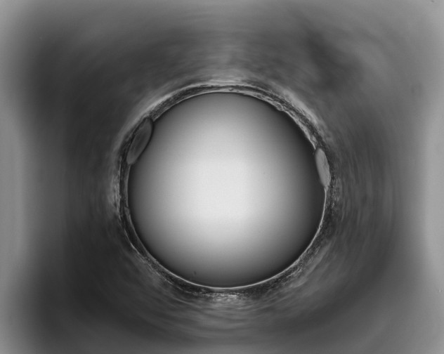 X0000096221456200801181020