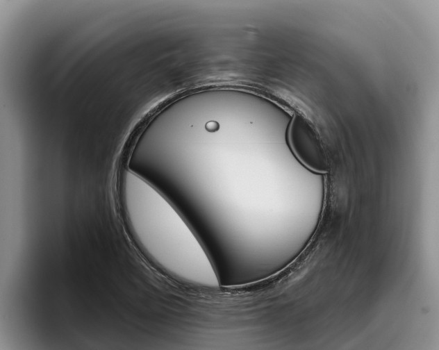 X0000096221458200801181020