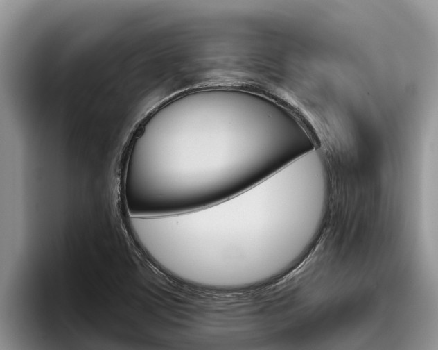 X0000096221459200801181020
