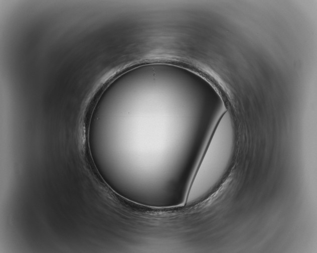 X0000096221461200801181020