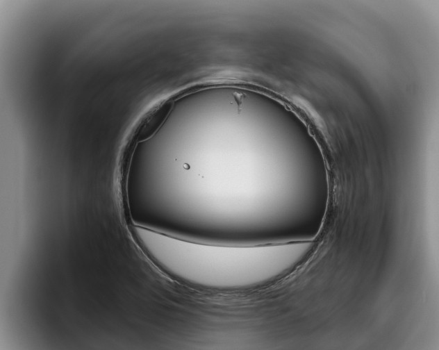 X0000096221464200801181020