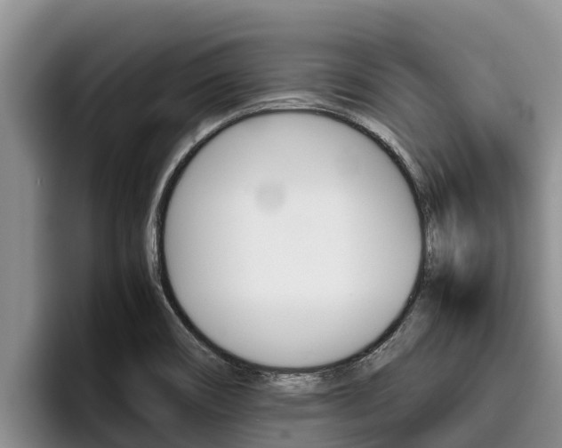 X0000096221466200801181020