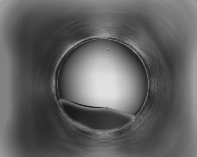X0000096221468200801181020