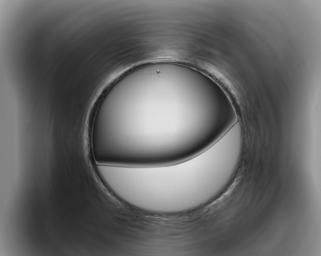 X0000096221469200801181019
