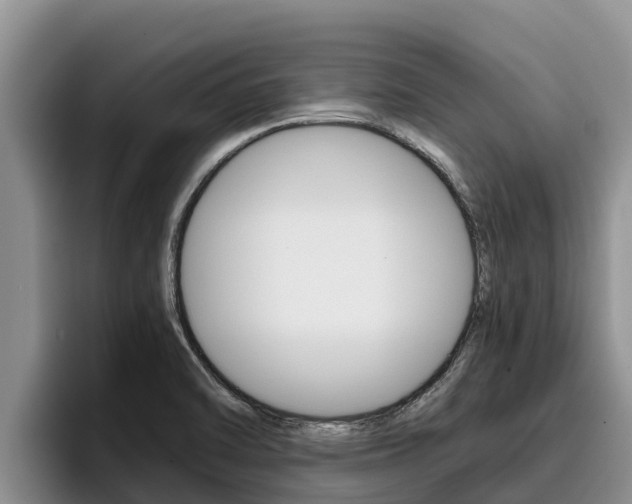 X0000096221470200801181019