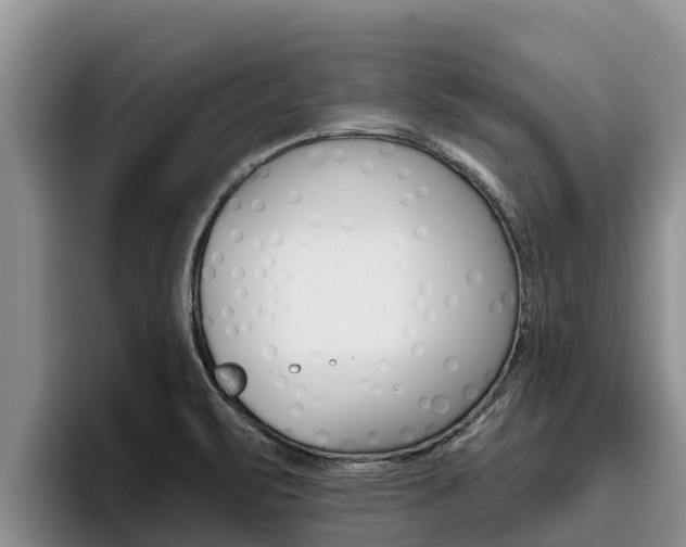 X0000096221471200801181019