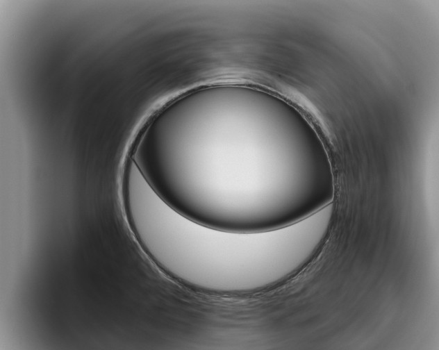 X0000096221472200801181019