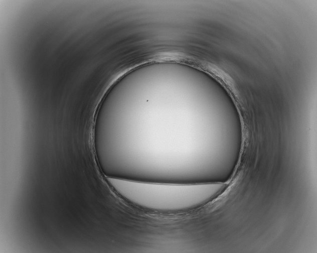 X0000096221473200801181019