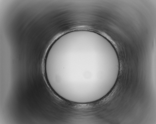 X0000096221474200801181019