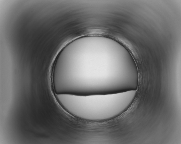 X0000096221475200801181019