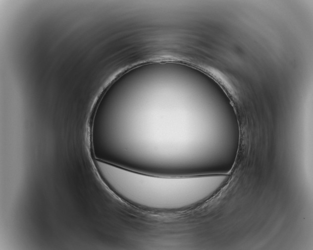 X0000096221476200801181019