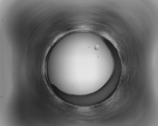 X0000096221477200801181019