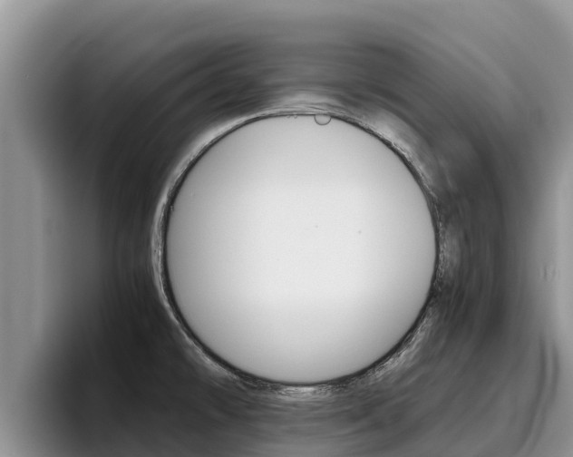X0000096221478200801181019