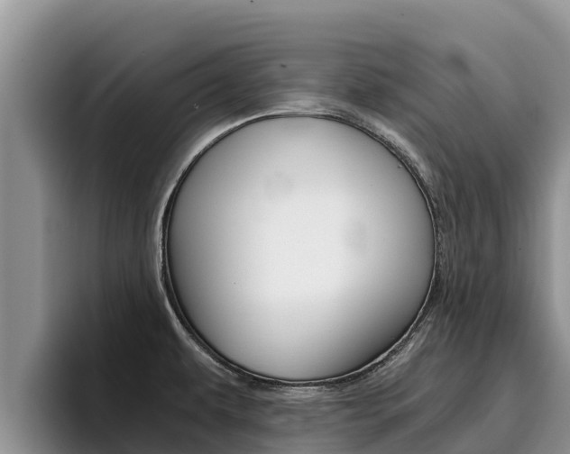 X0000096221479200801181019