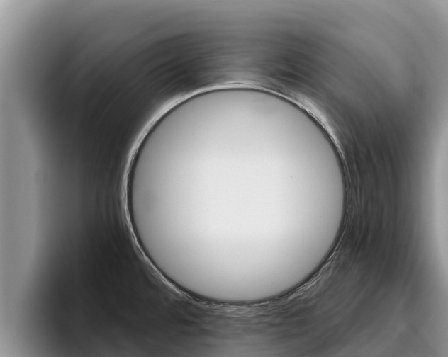 X0000096221480200801181019