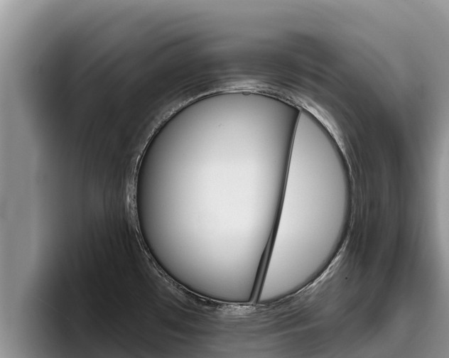 X0000096221481200801181019