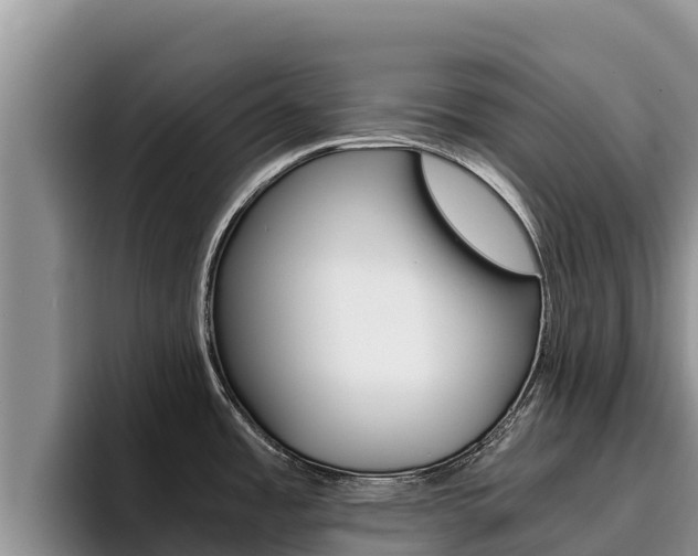 X0000096221485200801181019
