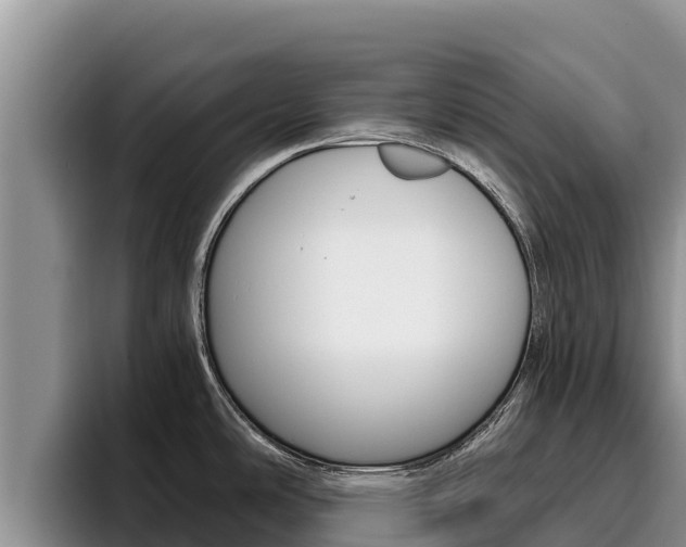 X0000096221486200801181019