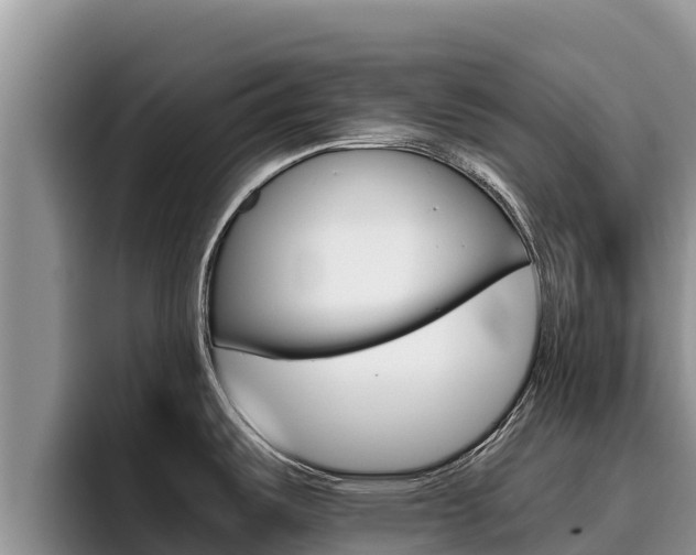X0000096221487200801181019