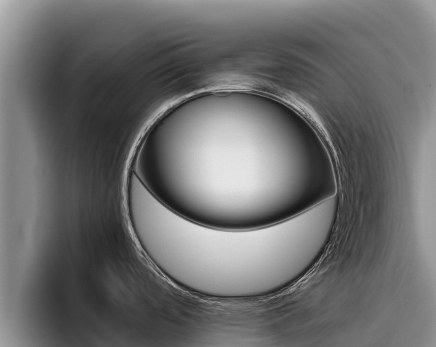 X0000096221488200801181019