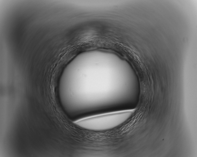 X0000096221489200801181019