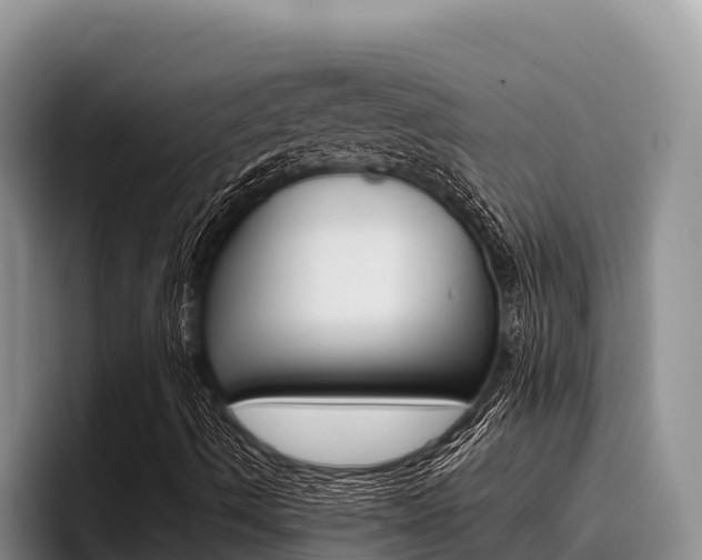 X0000096221490200801181019