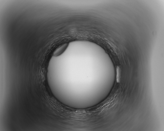 X0000096221491200801181019