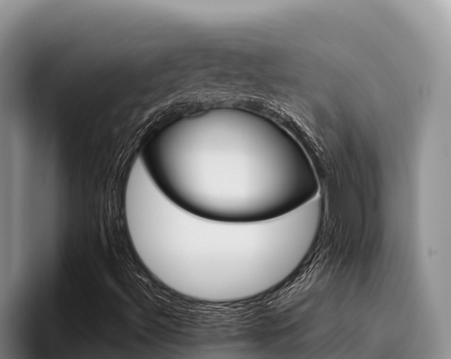 X0000096221492200801181019