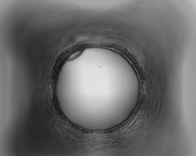 X0000096221493200801181019