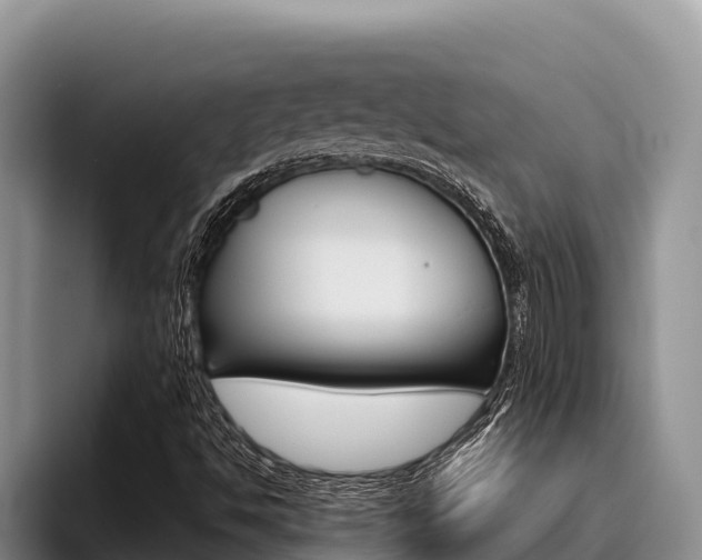 X0000096221494200801181019