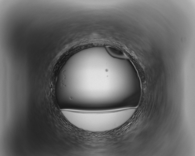 X0000096221495200801181019
