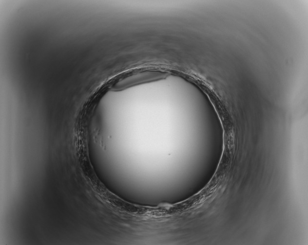 X0000096221496200801181019