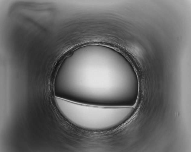 X0000096221497200801181019