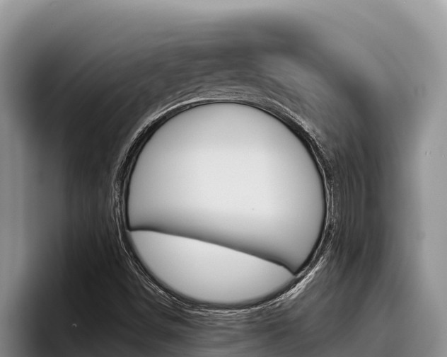 X0000096221498200801181019