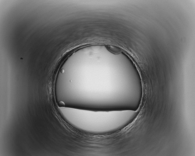X0000096221499200801181019