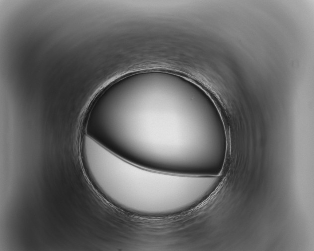 X0000096221500200801181019