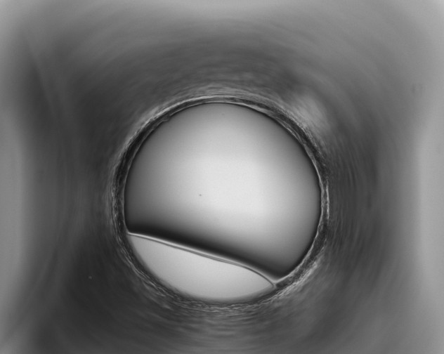 X0000096221501200801181019