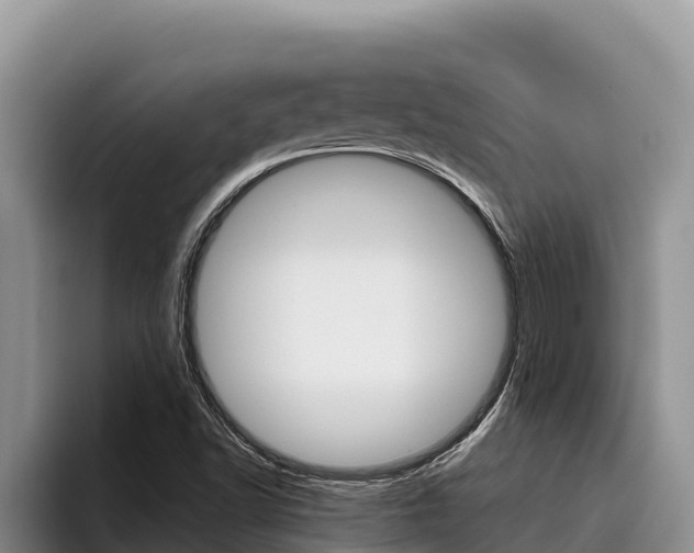 X0000096221502200801181019