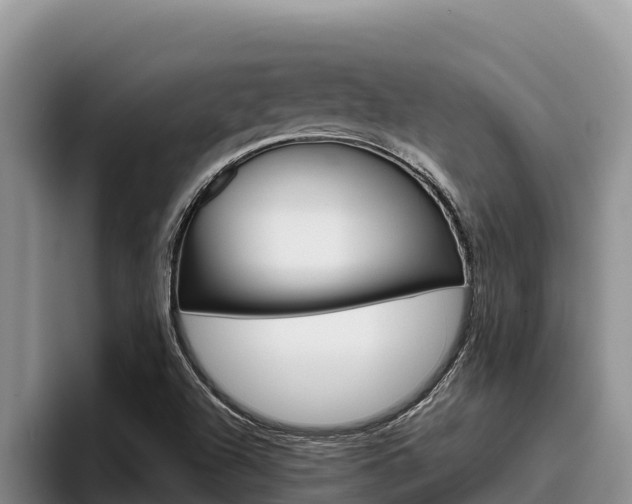 X0000096221504200801181019