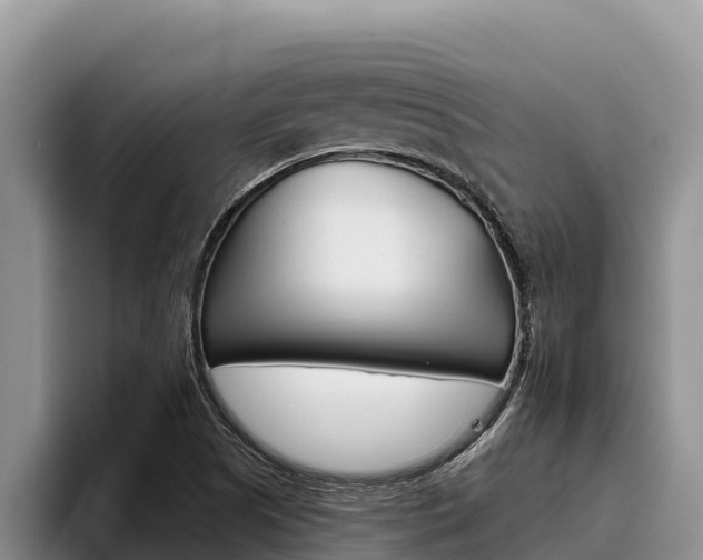 X0000096221505200801181019