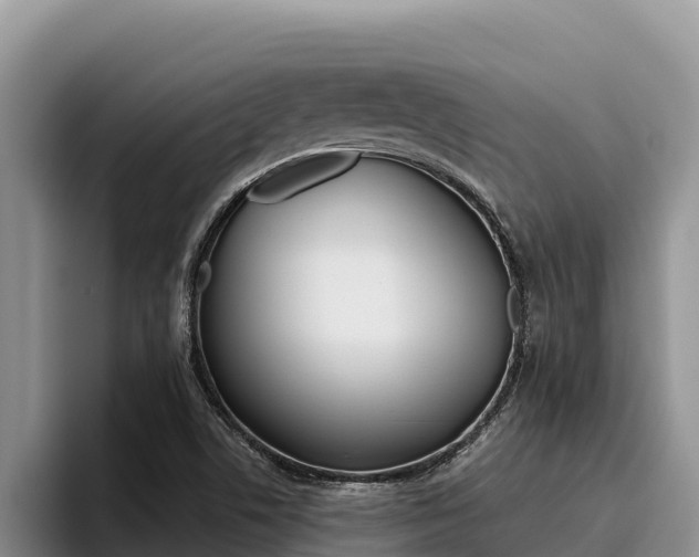 X0000096221506200801181019