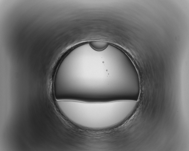 X0000096221507200801181019