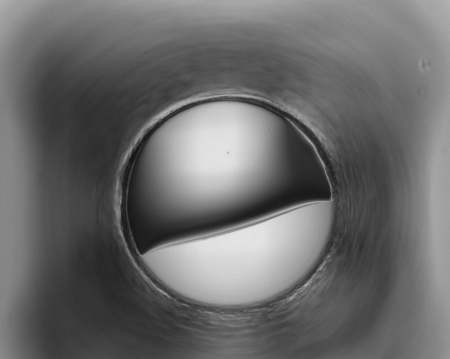 X0000096221508200801181019