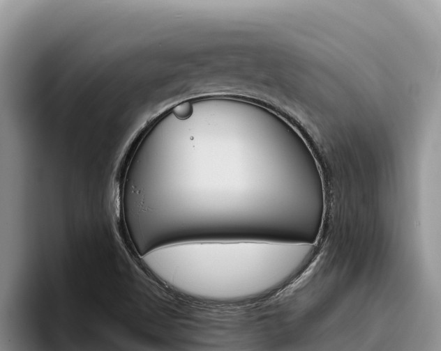 X0000096221509200801181019