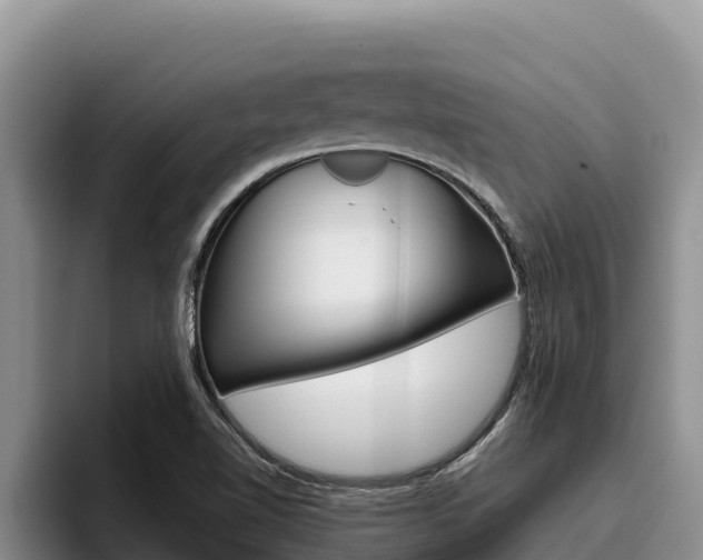 X0000096221510200801181019