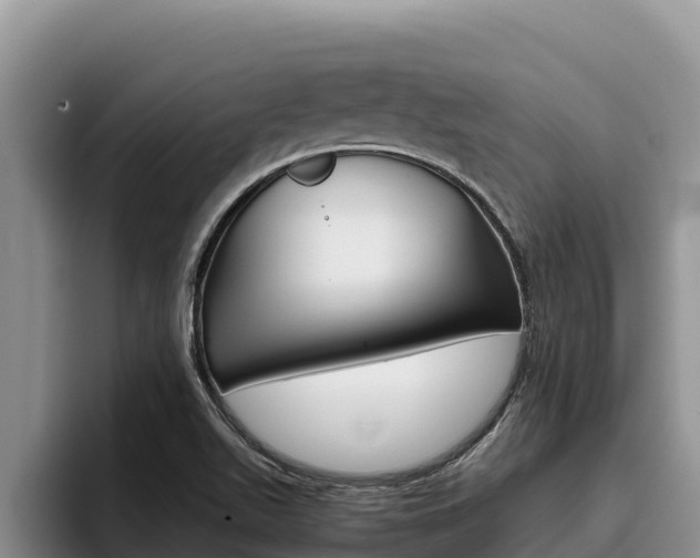 X0000096221511200801181019