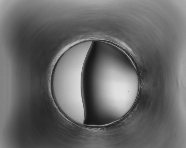 X0000096221512200801181019