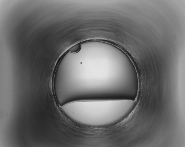 X0000096221513200801181019
