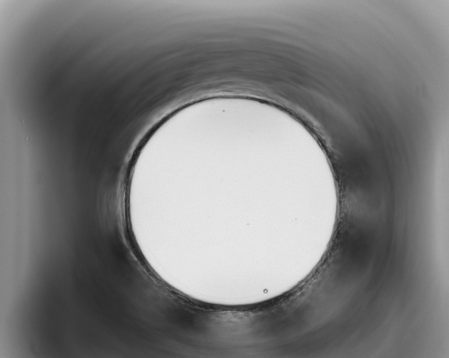 X0000096221514200801181019