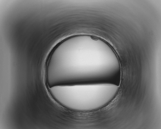 X0000096221515200801181019